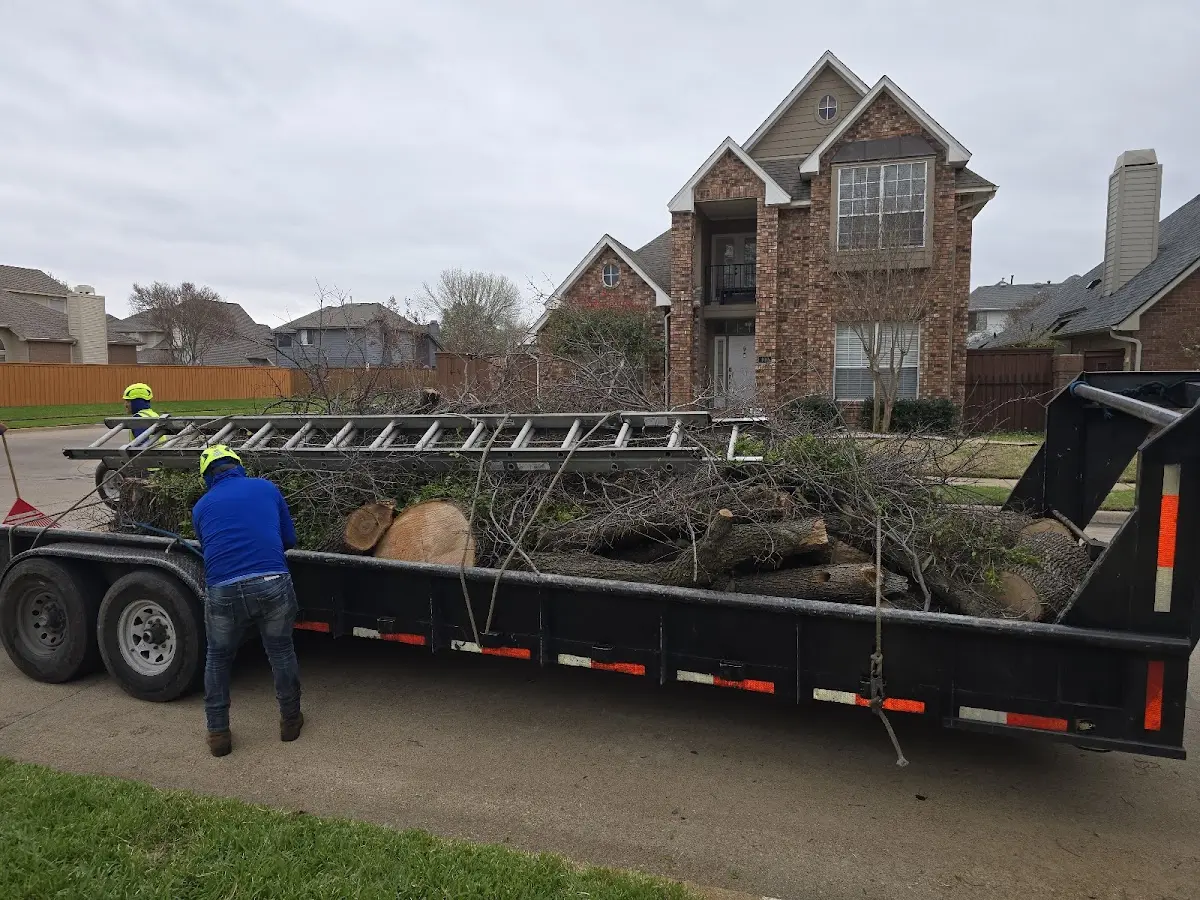 Expert Crown Reduction with proper safety equipment in Roseville